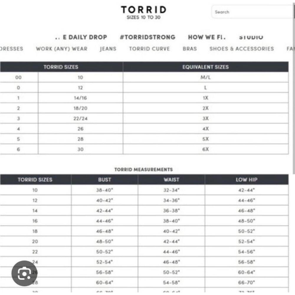 Torrid Dress - Picture 6 of 6